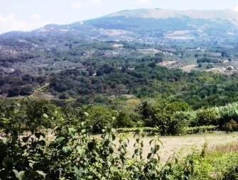 venda fazenda sitio na italia