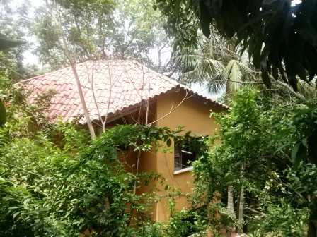 Sitio na serra Rajada em Tucunduba - Caucaia (37 km de Fortaleza)